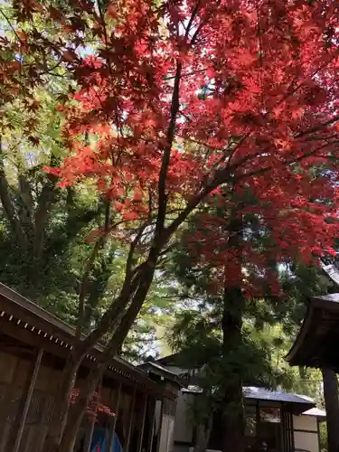 蠶養國神社のその他建物