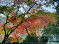 瑞巌寺(徳島県)