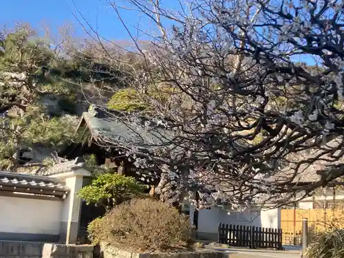 円覚寺(神奈川県)