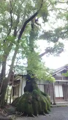 伊雜宮（皇大神宮別宮）(三重県)