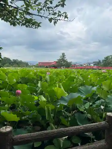 猿賀神社の自然