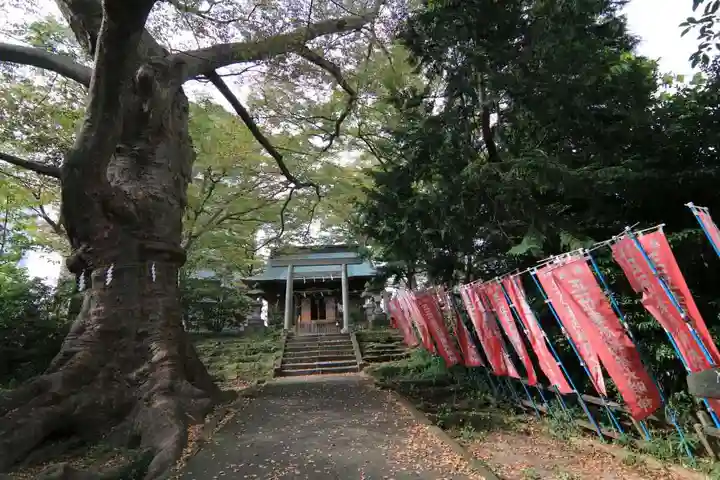 愛宕神社の自然