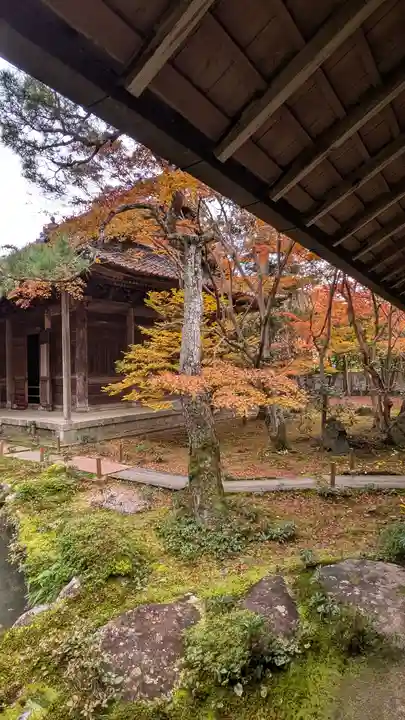 蓮華寺(洛北蓮華寺)(京都府)