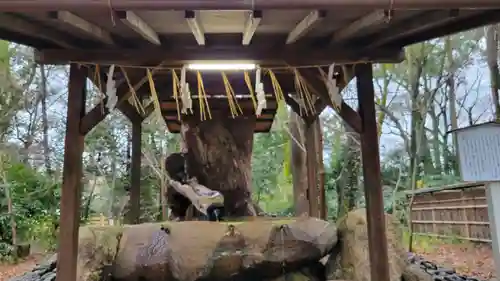 賀茂御祖神社（下鴨神社）の手水舎