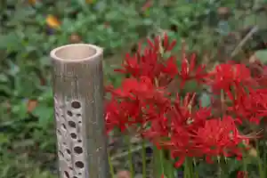 国宝 大法寺の庭園(2021年09月17日(金) 12時32分30秒投稿)