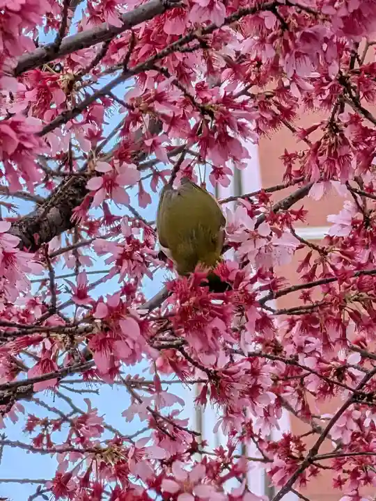 飯倉熊野神社(東京都)