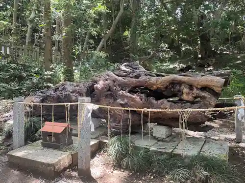 泉神社(茨城県)