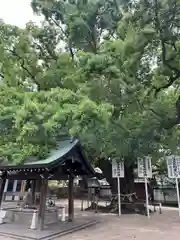 大聖観音寺（あびこ観音）(大阪府)