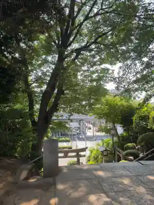品川神社(東京都)