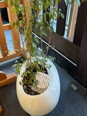 川屋神社(千葉県)