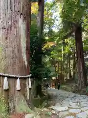 百済寺の建物その他