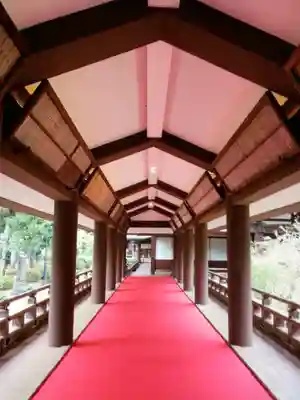 妙法寺(東京都)