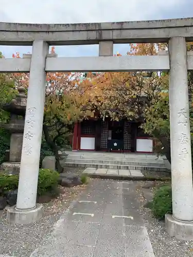 亀戸天神社の鳥居