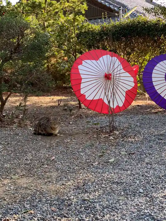 彌都加伎神社の庭園