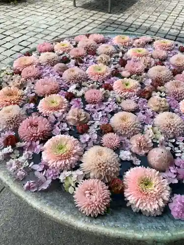 行田八幡神社の手水