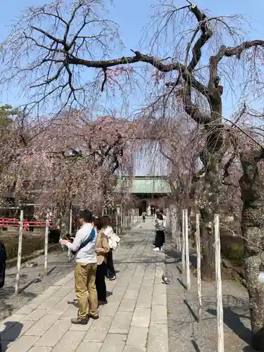 三嶋大社(静岡県)