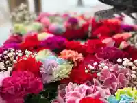 札幌諏訪神社の手水舎