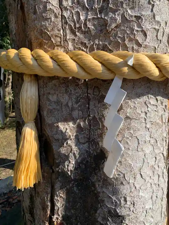 鹿嶋神社の自然