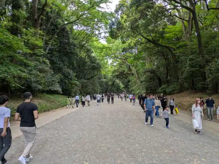 明治神宮(東京都)