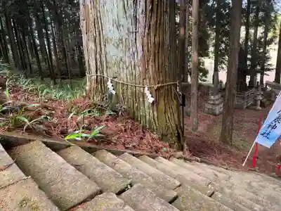大宮温泉神社(栃木県)