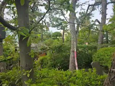 阿部野神社(大阪府)