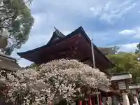 太宰府天満宮(福岡県)