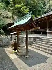 金剛寺(大阪府)