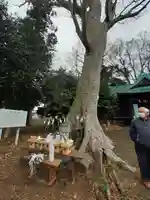 伏木香取神社(茨城県)