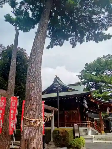 中野沼袋氷川神社(東京都)