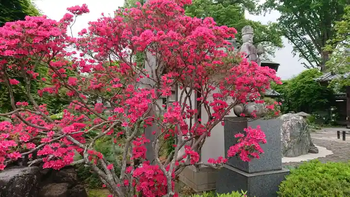 恩林寺(群馬県)