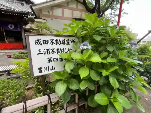 徳寿院(神奈川県)