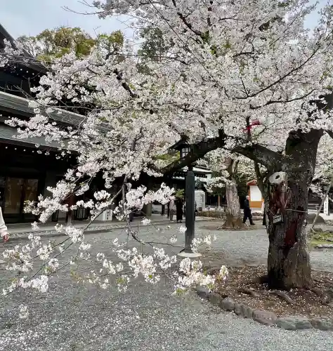 三嶋大社(静岡県)