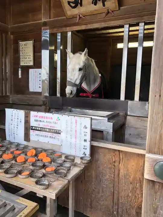 多度大社(三重県)