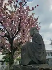 光徳院の仏像