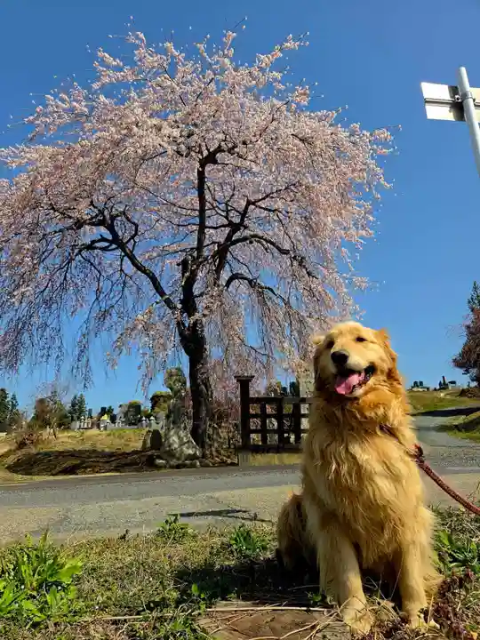長徳寺(岩手県)
