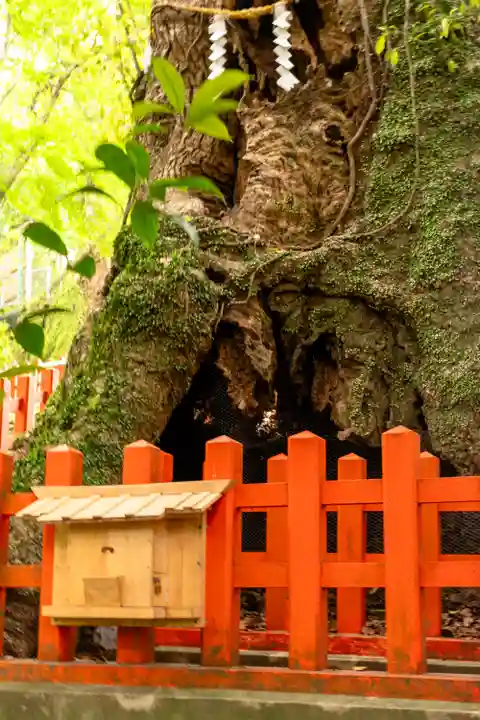 新田神社(鹿児島県)