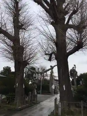 亀ケ池八幡宮のその他建物