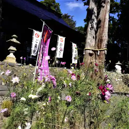 高司神社〜むすびの神の鎮まる社〜の景色