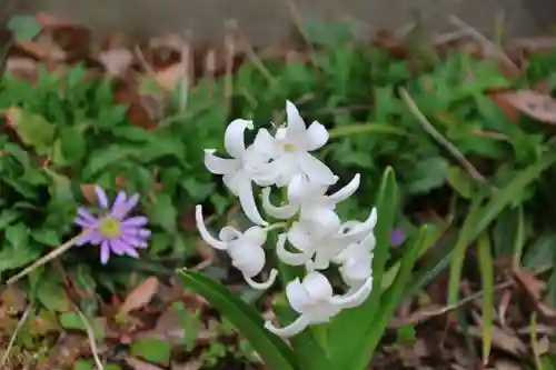 阿邪訶根神社の自然
