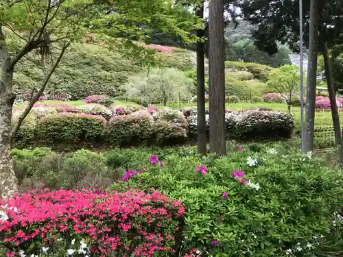 三室戸寺の庭園