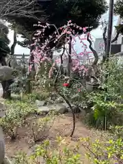 菊田神社(千葉県)