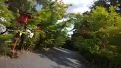 鍬山神社の建物その他