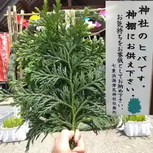 七重浜海津見神社(北海道)(2024年06月27日(木) 09時35分50秒投稿)