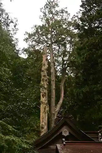 幣立神宮(熊本県)