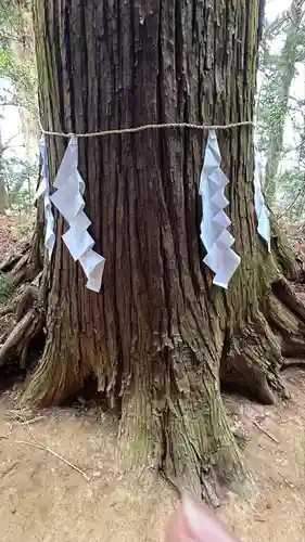 黒沼神社(福島県)