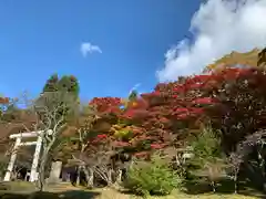 土津神社｜こどもと出世の神さまの自然