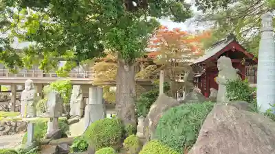 善養寺（善養密寺）の{uncategorized: "未分類", other: "その他", undefined: "問題あり", building: "その他建物", grave: "お墓", sacred_gate: "鳥居", guardian: "狛犬", statue: "像", buddha: "仏像", history: "歴史", nature: "自然", garden: "庭園", animal: "動物", pagoda: "塔", temizu: "手水舎", mountain_gate: "山門・神門", sanctuary: "本殿・本堂", subordinate: "末社・摂社", art: "芸術", scenery: "景色", jizo: "地蔵", ema: "絵馬", goshuin: "御朱印", omikuji: "おみくじ", items: "授与品その他", amulet: "お守り", goshuincho: "御朱印帳", eats: "食事", festival: "お祭り", votive_dance: "神楽", shichigosan: "七五三参", wedding: "結婚式", experience: "体験その他", initially: "初詣", around: "周辺", anti_infection: "感染症対策"}