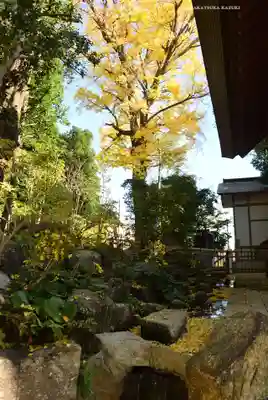 師岡熊野神社(神奈川県)