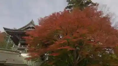 高尾山薬王院の{uncategorized: "未分類", other: "その他", undefined: "問題あり", building: "その他建物", grave: "お墓", sacred_gate: "鳥居", guardian: "狛犬", statue: "像", buddha: "仏像", history: "歴史", nature: "自然", garden: "庭園", animal: "動物", pagoda: "塔", temizu: "手水舎", mountain_gate: "山門・神門", sanctuary: "本殿・本堂", subordinate: "末社・摂社", art: "芸術", scenery: "景色", jizo: "地蔵", ema: "絵馬", goshuin: "御朱印", omikuji: "おみくじ", items: "授与品その他", amulet: "お守り", goshuincho: "御朱印帳", eats: "食事", festival: "お祭り", votive_dance: "神楽", shichigosan: "七五三参", wedding: "結婚式", experience: "体験その他", initially: "初詣", around: "周辺", anti_infection: "感染症対策"}