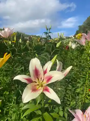 秋葉總本殿可睡斎(静岡県)
